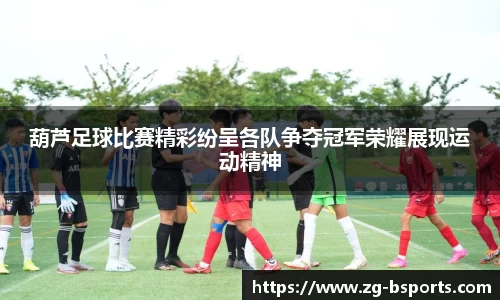 bsport体育