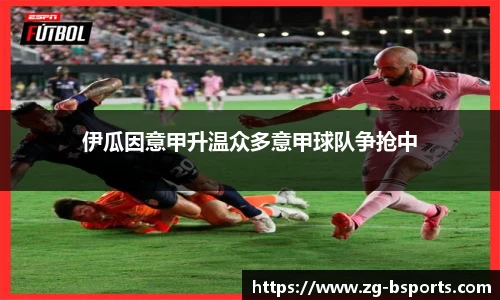 B体育