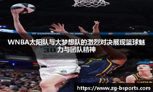 B体育官方网站