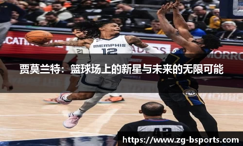 bsport体育